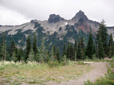 Mt Rainier 14