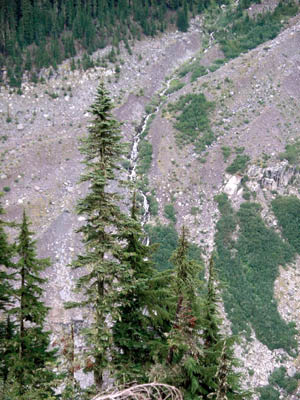 Mt Rainier 60