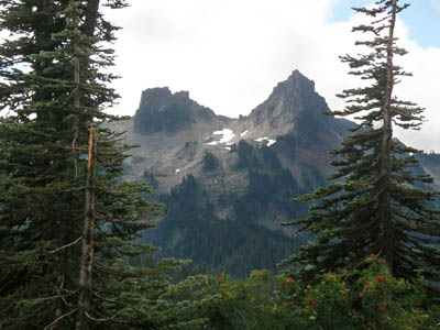 Mt Rainier 71