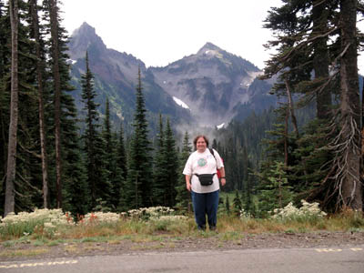 Mt Rainier 74