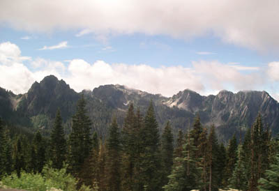 Mt Rainier 81