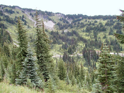 Mt Rainier108