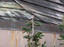Clarks Nutcracker