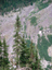 Mt Rainier 60