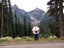 Mt Rainier 74