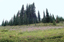 Mt Rainier110